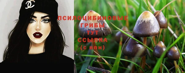 трава Надым