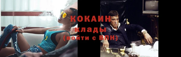 трава Надым