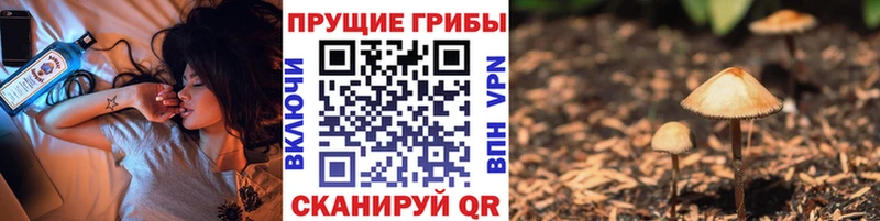 Купить где  Шенкурск  Галлюциногенные грибы MAGIC MUSHROOMS 